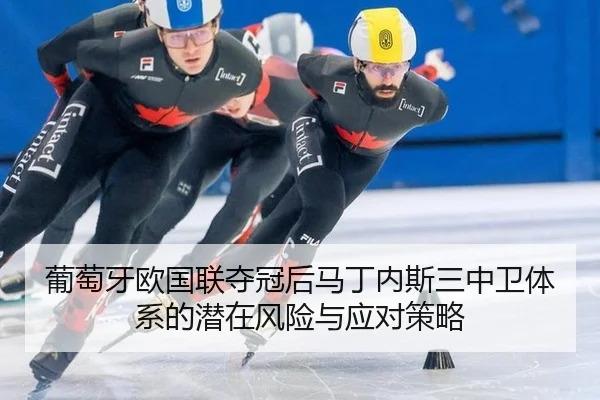 pu-tao-ya-ou-guo-lian-duo-guan-hou-ma-ding-nei-si-san-zhong-wei-ti-xi-de-qian-zai-feng-xian-yu-ying-dui-ce-lve-2-163.jpg